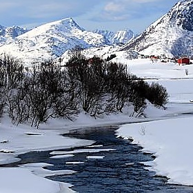 LOFOTEN_10-04-01_0008 - Vincenzo_1949