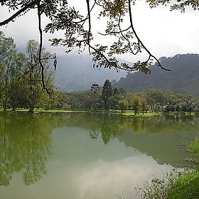 wohin auswandern malaysia Taiping Lake Gardens 4 - WohinAuswandern