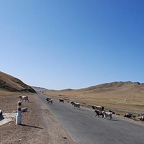 Estepa en Mongolia - Mario Carvajal
