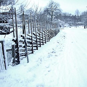 Sundaywalk ~ fence - Per Ola Wiberg ~ Powi
