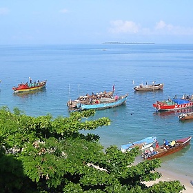 Zanzibar, Tanzania - eutrophication&hypoxia