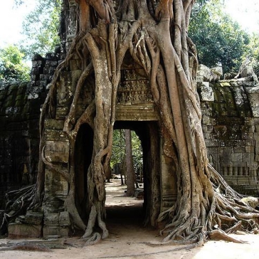 Cambodia
