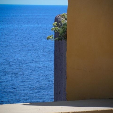 Corsica