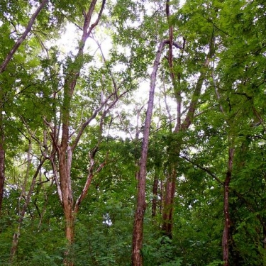 Costa Rica