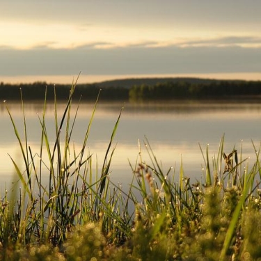 Lapland