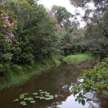Madagascar