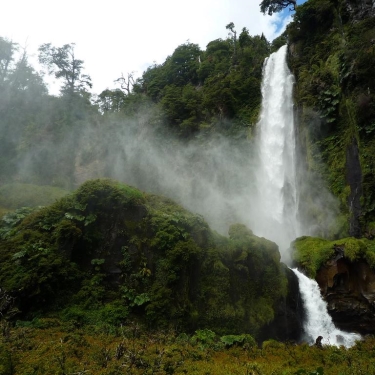Patagonia