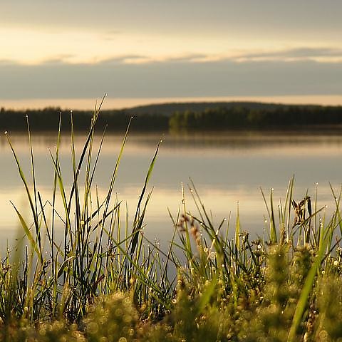 Lapland