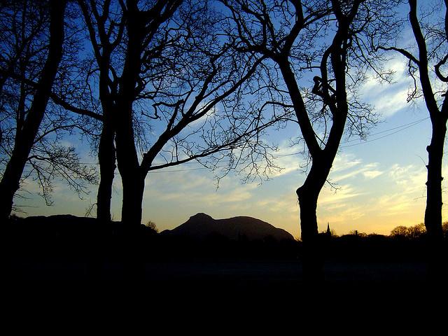 dawn