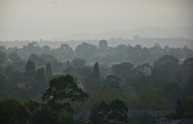 Not enough rain, Melbourne, Victoria, 8 Feb. 2009