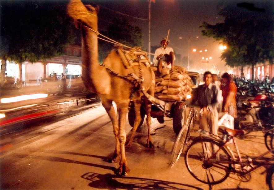 India - Merchants  : Jaïpur, farmer (Rajasthan)