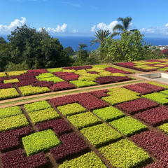 Madeira