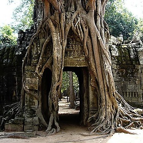 Angkor Wat - felixtriller.