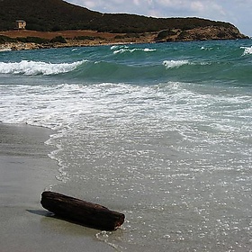 Macinaggio, Corsica, France - vigour