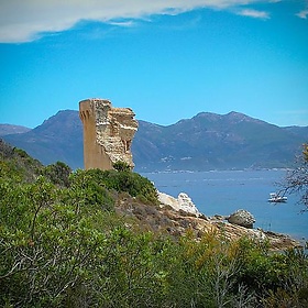 Corsica - liquene