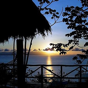 Dawn in the remote wilds of Costa Rica - joiseyshowaa