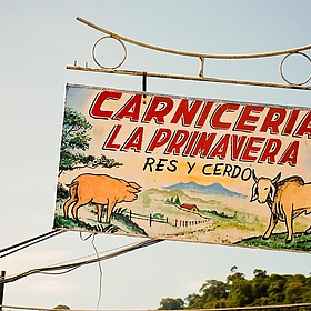 Costa Rica. On the Chocolate Tour - EverJean