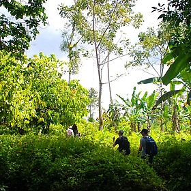 Costa Rica. On the Chocolate Tour - EverJean