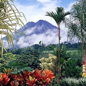 Costa Rica... No artificial ingredients! - Wha'ppen