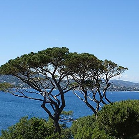 View from Citadel, St Tropez - spencer77