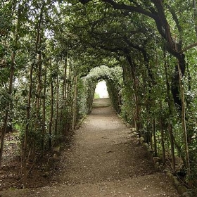 05926 - Florence - Palazzo Pitti - - xiquinhosilva