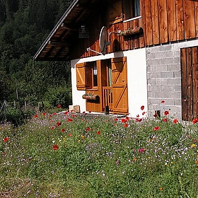 French Alps July 2004 - j_bary