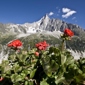 Chamonix - Hike along Montenvers to Mer de Glace - richd777