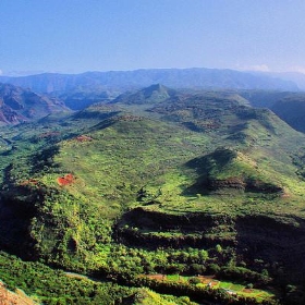 stop and look - eye of einstein