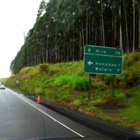 39 Miles to Hilo, Hawaii, S.R. 19 in Honoka'a, Hawaii near the Northeast Windward Coast - Ken Lund