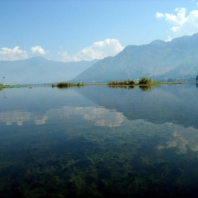 IMG_1539 - Ajay Tallam