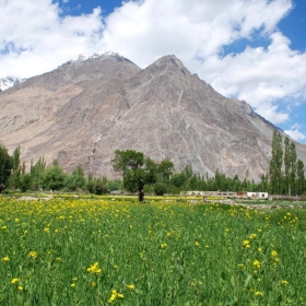 Nubra - aloshbennett