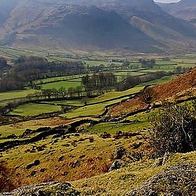 Langdale 2 - the yes man