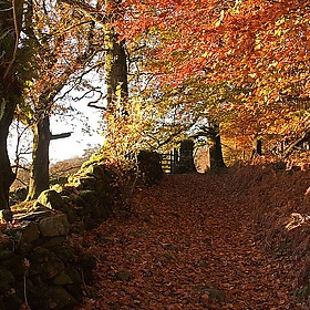 The Lake District - MarilynJane