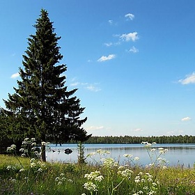 A Summers Night - RukaKuusamo.com