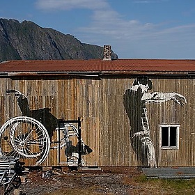 Street art in the wild - Jon Olav