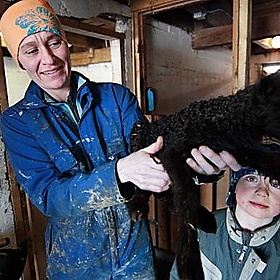 LOFOTEN_10-03-31_0123 - Vincenzo_1949