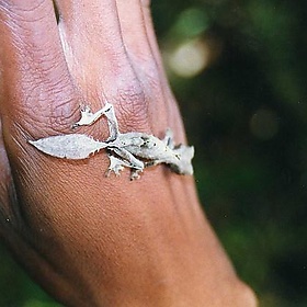 Uroplatus (Leaf-tailed Gecko) - wallygrom (very busy at work)