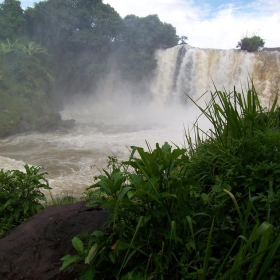 Madagascar - luc legay