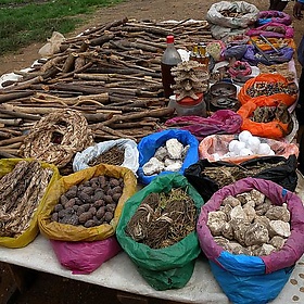 Earthwatch, January 2010, Andranofasika market, Madagascar - Frank.Vassen