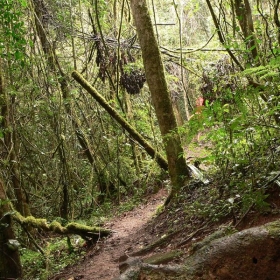 Madagascar - Aleix Cabarrocas Garcia