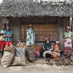 Madagascar - babasteve