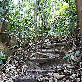 arbeitssuche malaysia wie wärs mit tour guide - WohinAuswandern