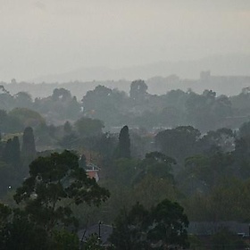Not enough rain, Melbourne, Victoria, 8 Feb. 2009 - PhillipC