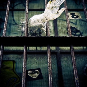 55 melbourne street art - Looking Glass