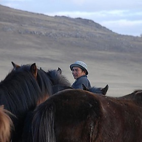 Animales en Mongolia - Mario Carvajal