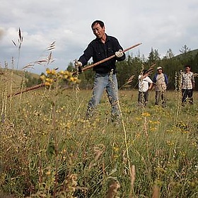 Kina og Mongolia 2008 45 - Ssppeeeeddyy