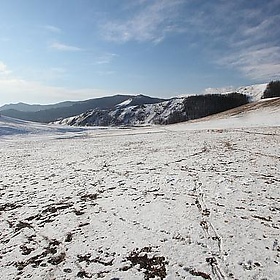 Mongolia 2010 328 - Ssppeeeeddyy