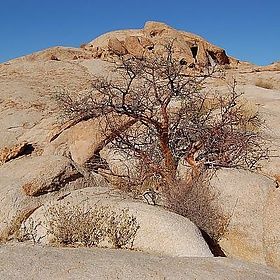 Bloedkoppie, Namibia - Sara&Joachim