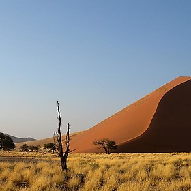 Sanddunes, Sossusvlei, Namibia - Frank.Vassen