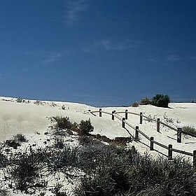 Ningaloo - Eugene Regis